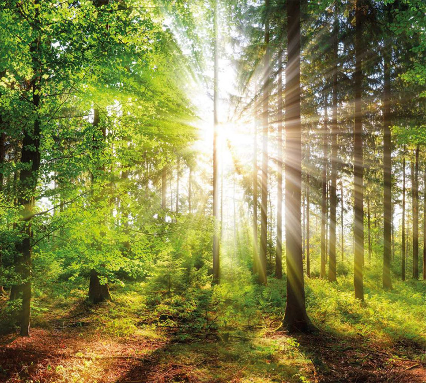 Lista Zielonych Urządzeń ZUM