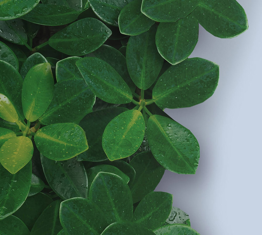 Ekologiczny czynnik R32