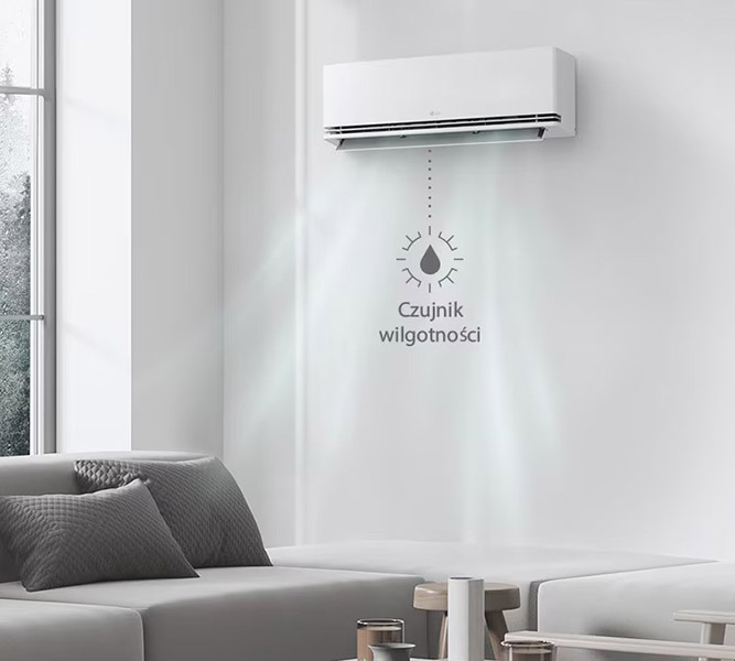 LG Dualcool Deluxe Soft Air_2