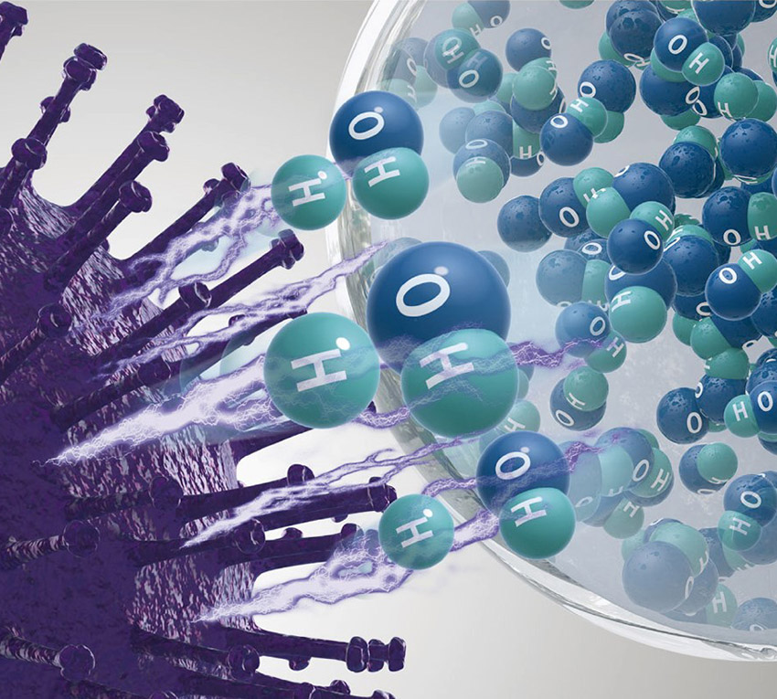 Naturalna równowaga