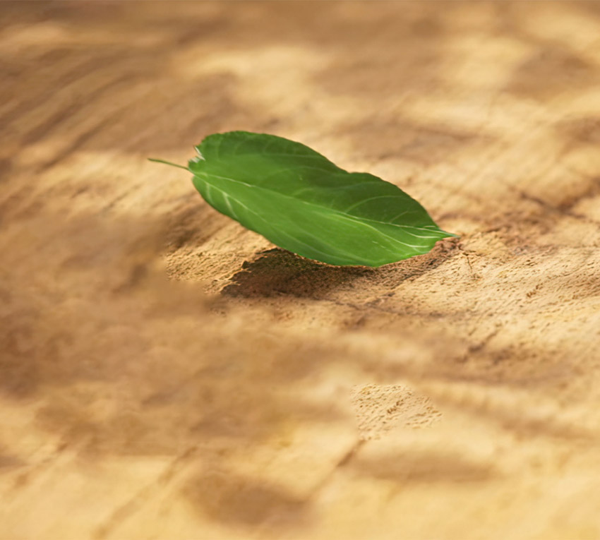 Czynnik chłodniczy R32 Toshiba Seiya Classic