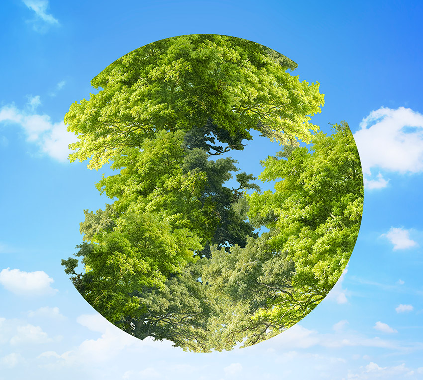 Zdrowsze powietrze w zasięgu jednego kliknięcia