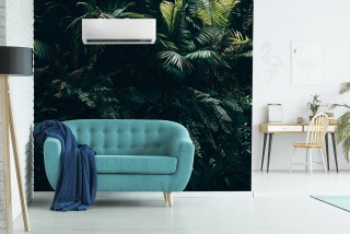 Rotenso Teta X, aranżacja