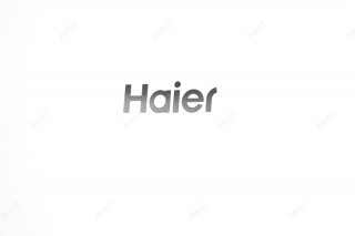 Haier Tayga Plus, logo